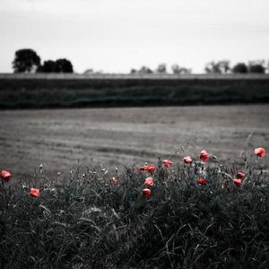 杨冥被黑人猛躁12次视频播放
